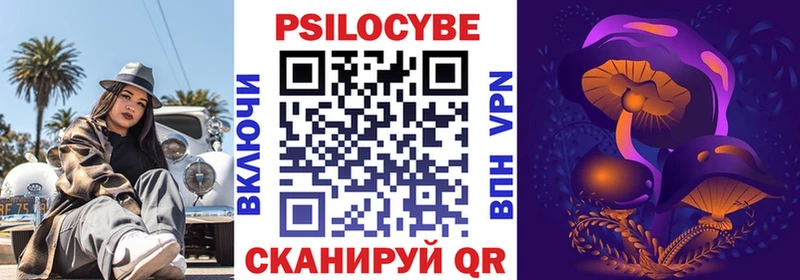 купить Королёв Псилоцибиновые грибы GOLDEN TEACHER